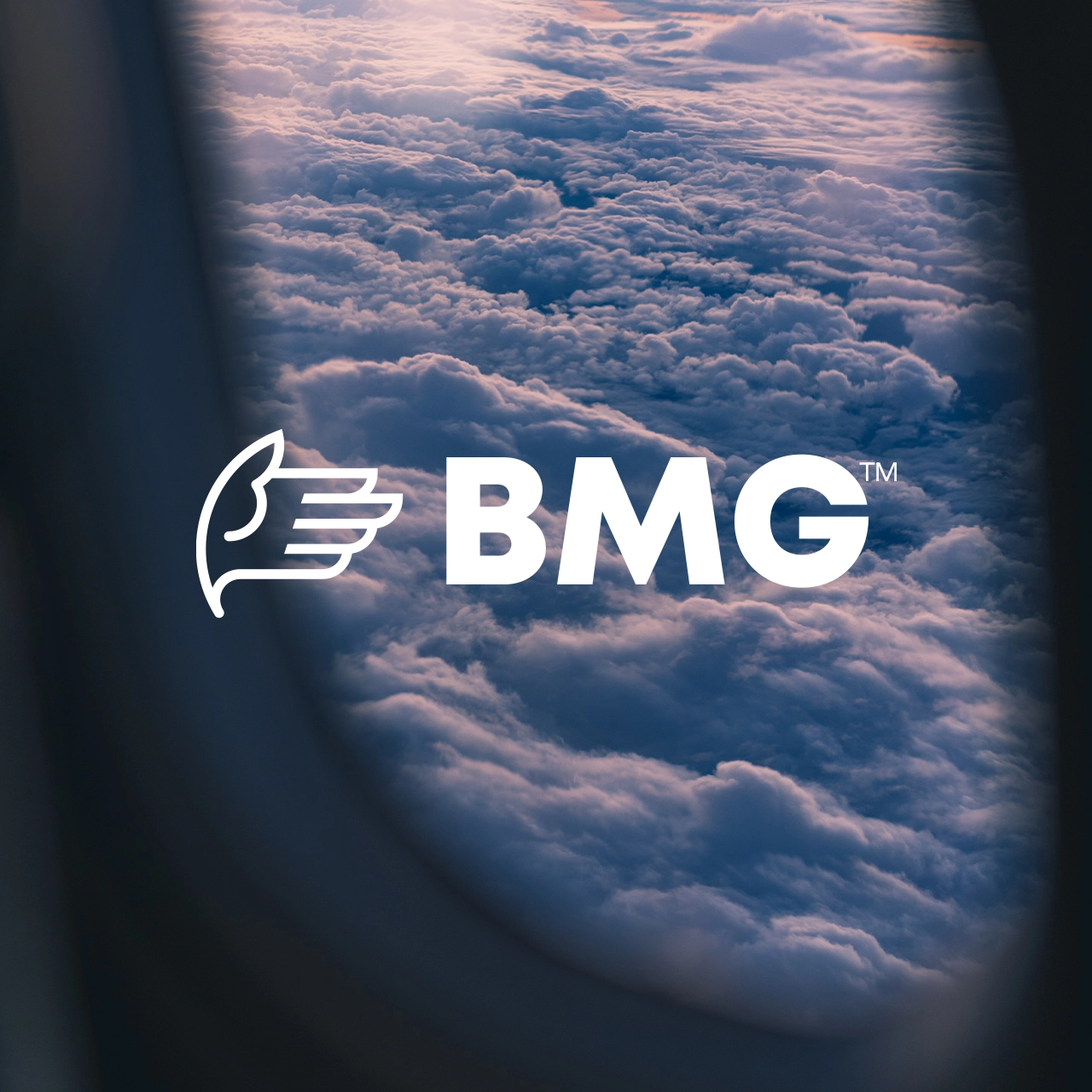 Identidad Verbal BMG Consultoría aviación