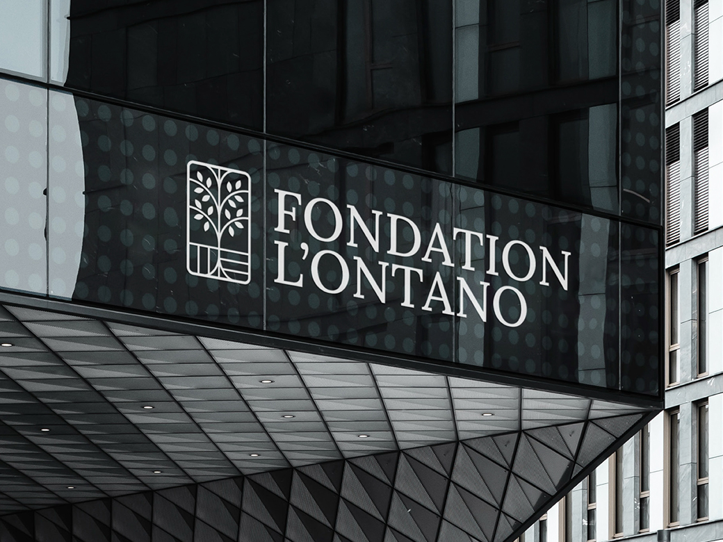 Branding e identidad visual para una fundación filantrópica