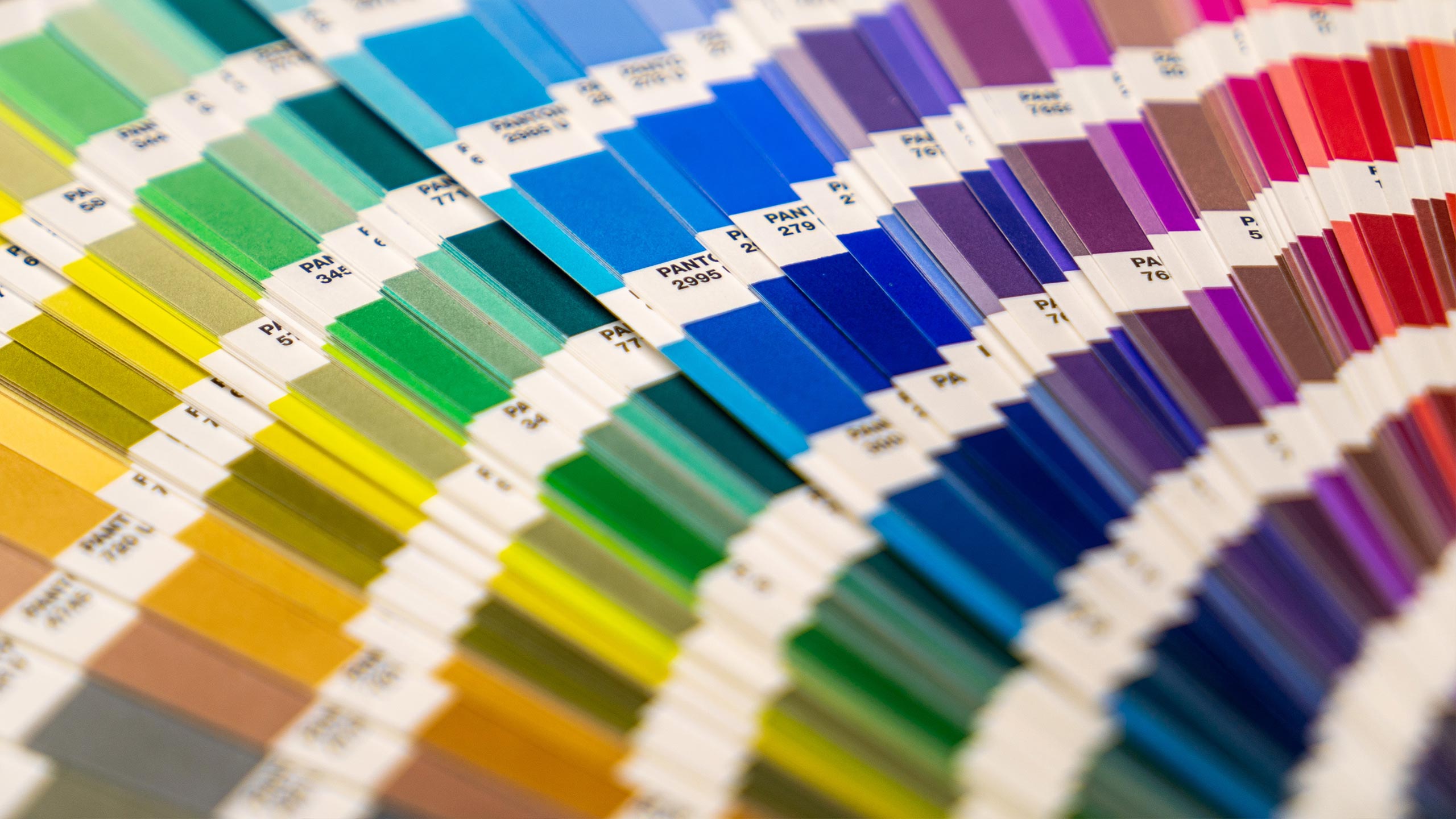 manuales identidad vidual