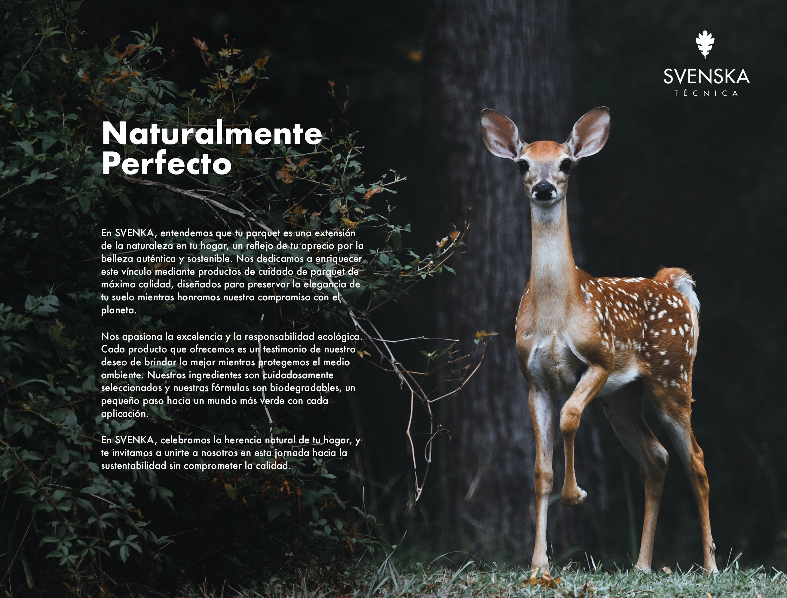 Diseño de tarjeta de visita madrid.